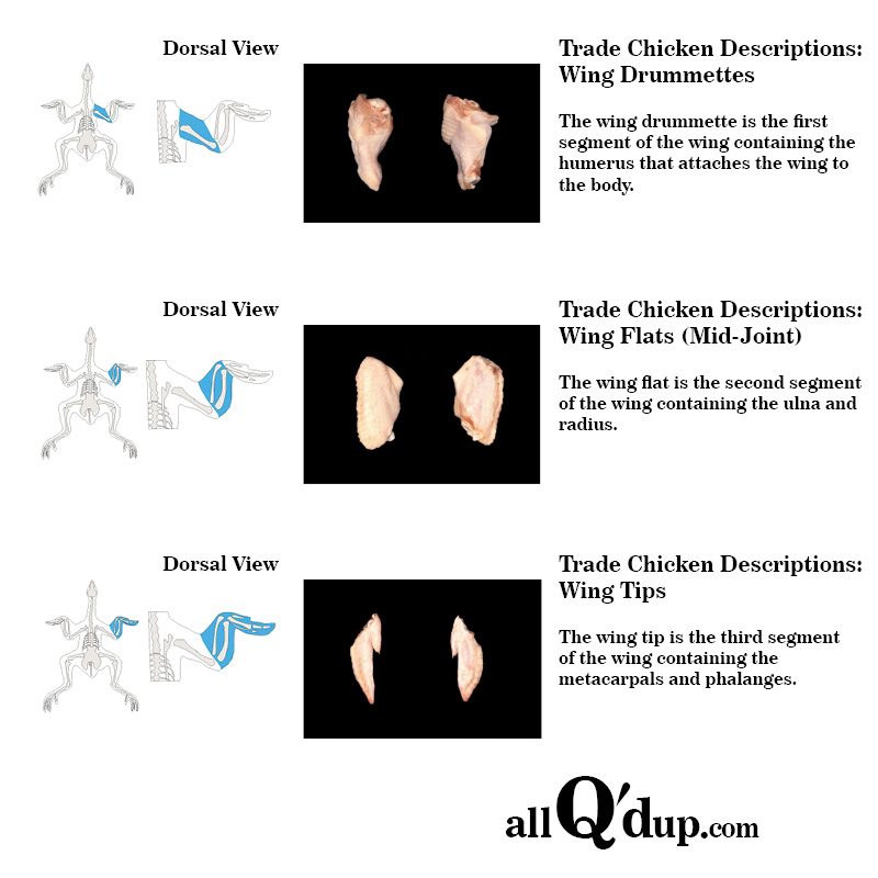 Trade Descriptions and Diagrams for Chicken: Wing Breakdown
