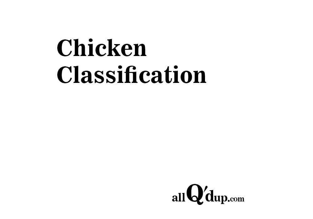 Chicken Classification